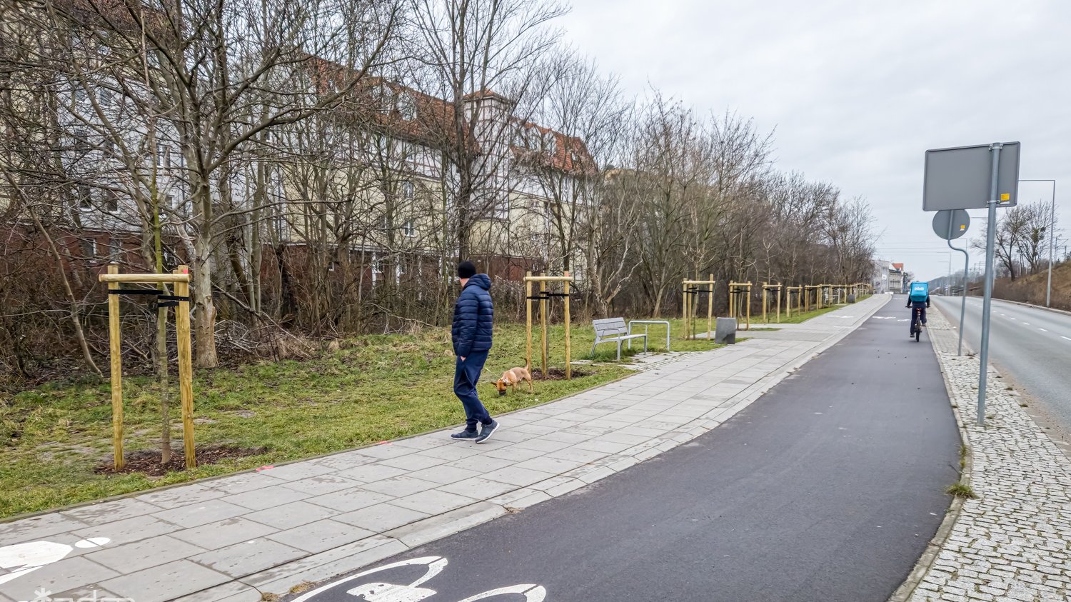 Galeria zdjęć z nasadzeń nowych drzew i zieleni niskiej