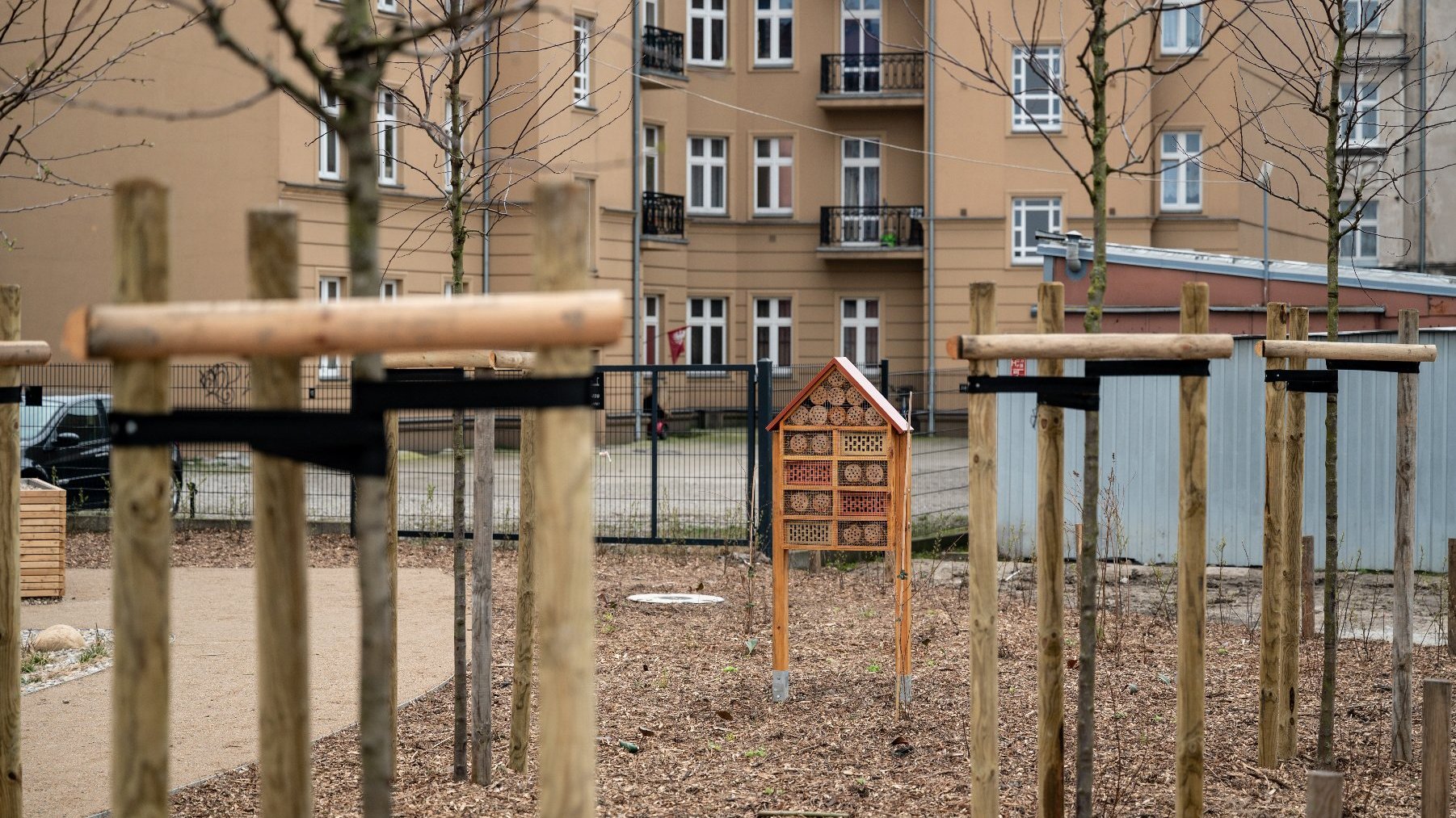 Galeria zdjęć przedstawia skwer na Śródce, na którym rosną drzewa i postawione są domki dla owadów i altana.