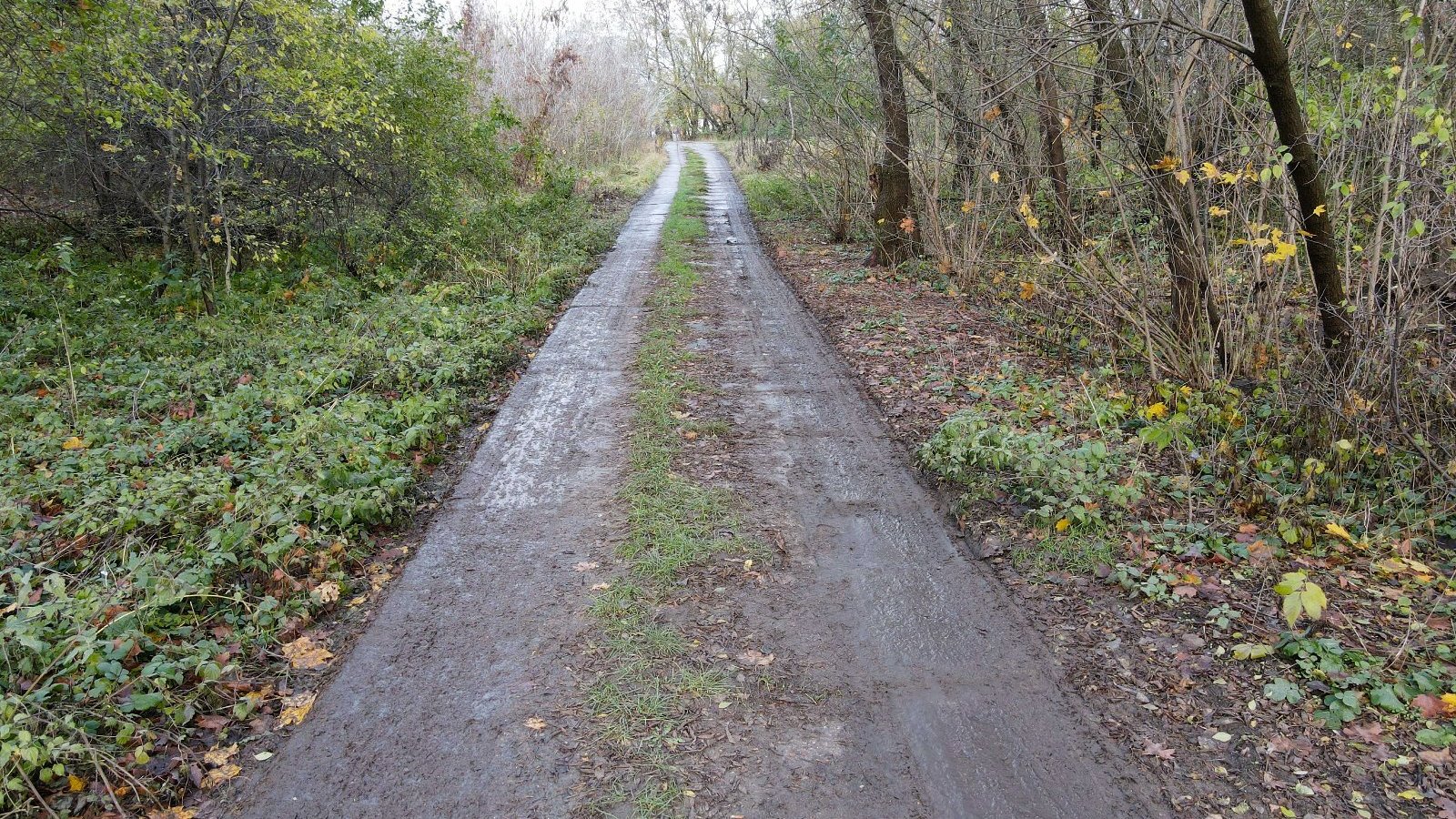 Aktualny widok miejsca, gdzie powstanie droga rowerowa wzdłuż PST