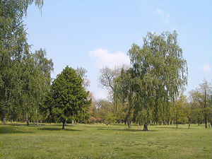 Park Tysiąclecia