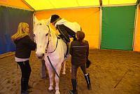 Mini Klub PONY