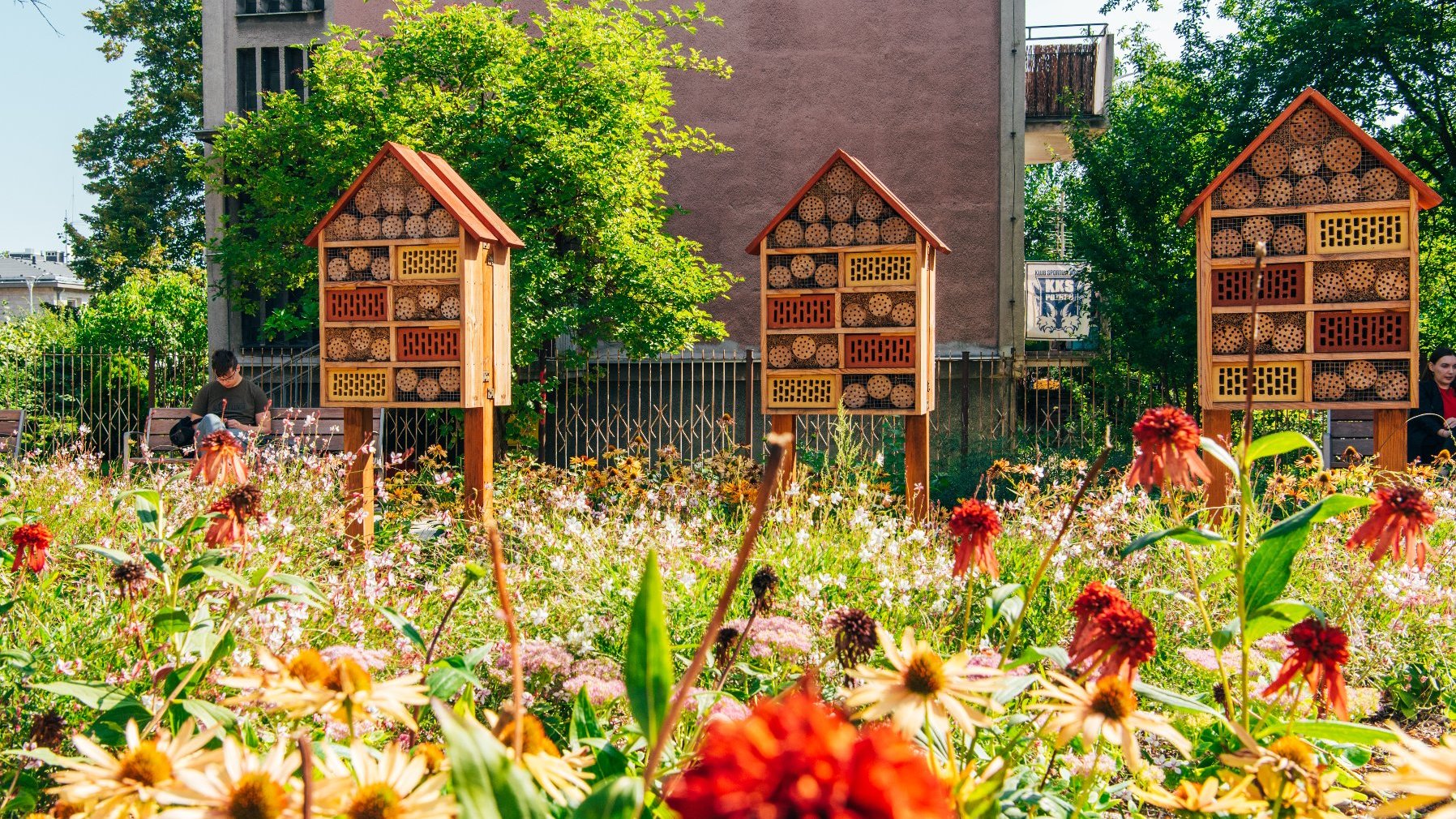 The photo gallery shows the press conference at the square and the square itself with greenery and insect houses.