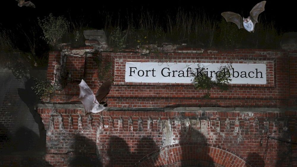 Photo of a fragment of the fort's wall. - grafika artykułu