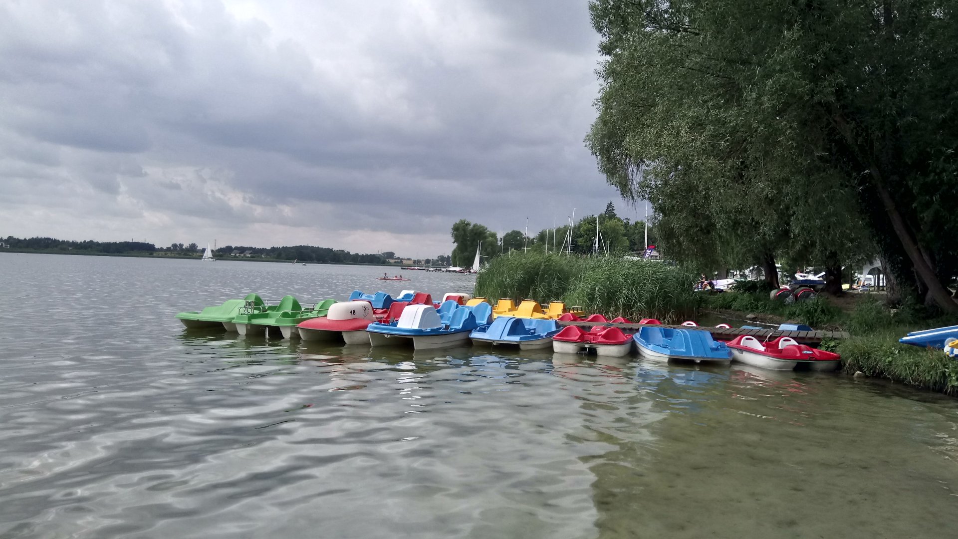 Jezioro Kierskie w Poznaniu, na zdjęciu kolorowe rowery wodne, kładka