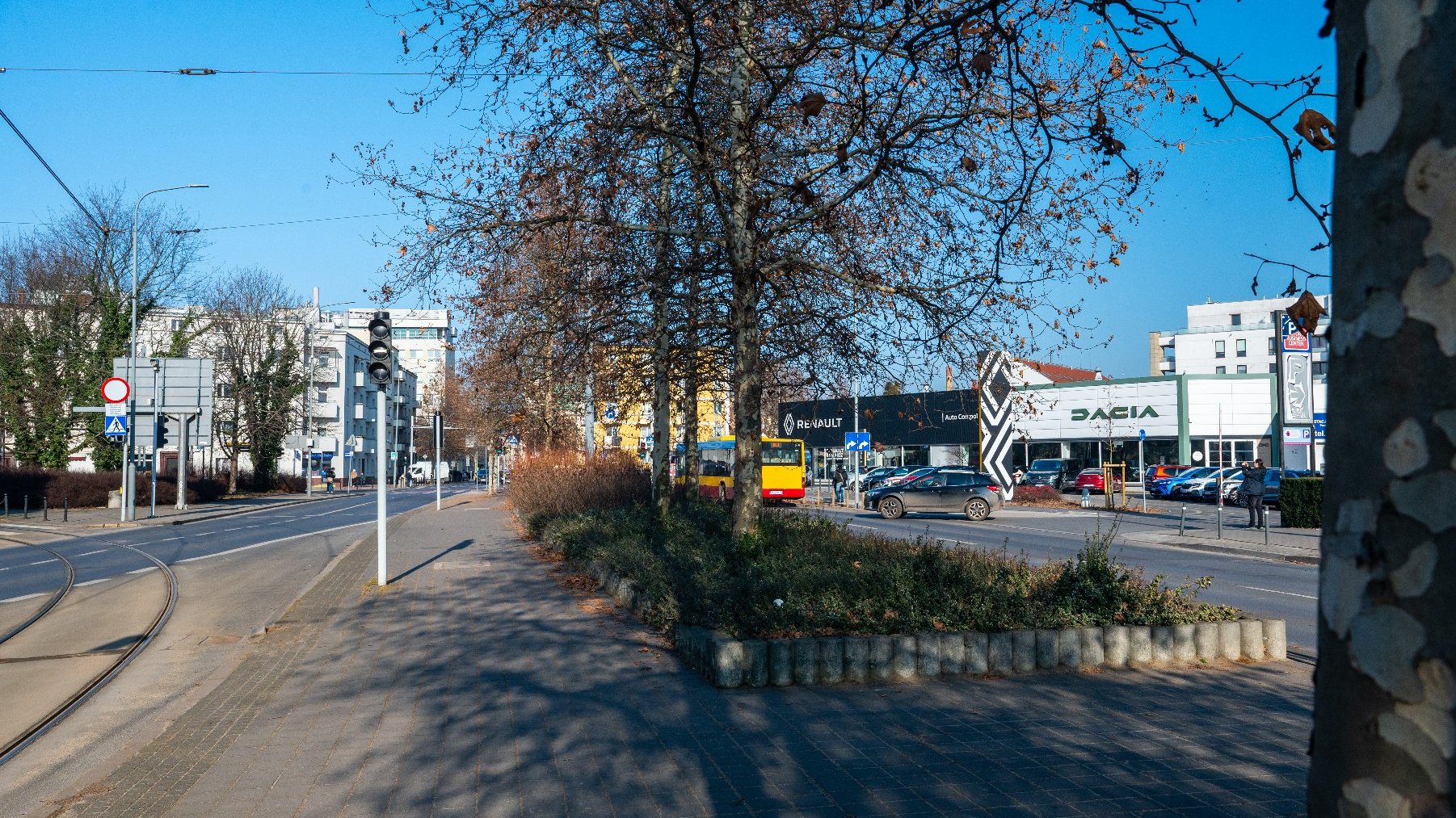 Zdjęcie przedstawia ulicę, po której jeżdzą samochody, sygnalizację świetlną oraz szpaler drzew i budynki.