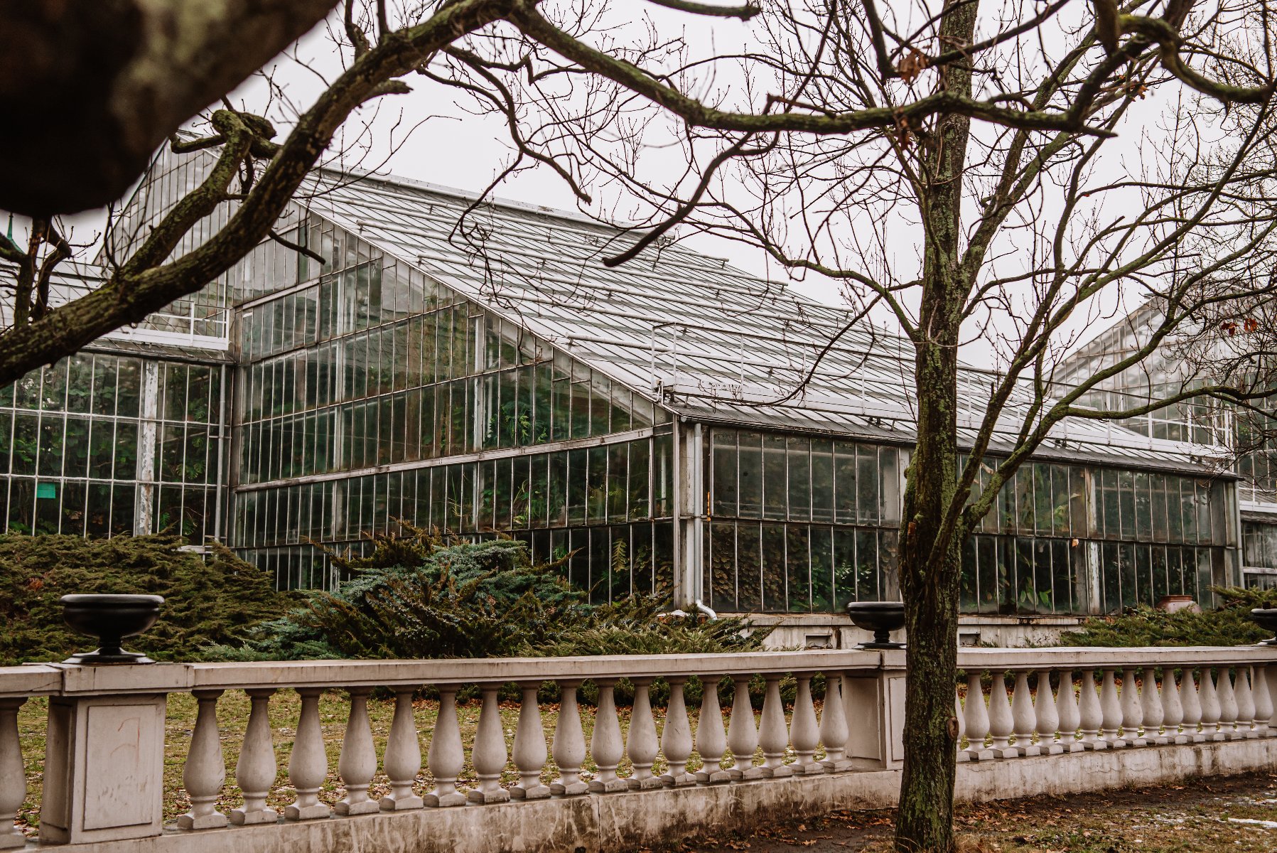 Zielony dom szklany z metalową konstrukcją za kamienną balustradą. Na pierwszym planie bezlistne drzewa i krzewy, co sugeruje, że może być jesień lub zima. Szklarnia ma pochylony dach i kilka sekcji z dużymi szklanymi panelami, pozwalającymi na widoczność roślin w środku. Scena jest ustawiona na zewnątrz, w ogrodzie lub parku. - grafika artykułu