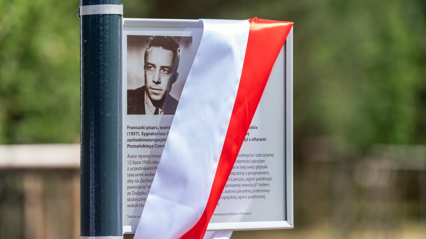 Tablica upamiętniająca Albera Camusa. Na tablicy zawieszono biało-czerwoną wstęgę. Na tablicy znajduje się zdjęcie Alberta Camusa i krótki opis.