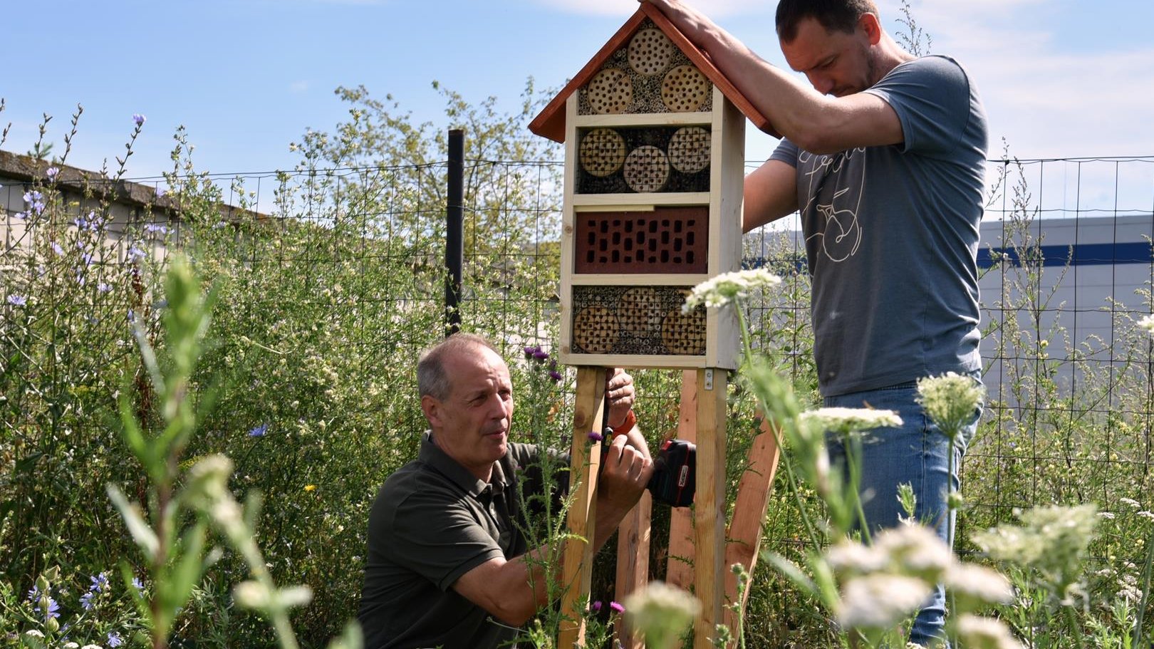 Dwóch mężczyzn montuje w wysokiej trawie domek dla owadów. Jeden podtrzymuje konstrukcję, drugi klęczy i przykręca śruby. Na pierwszym planie rośliny