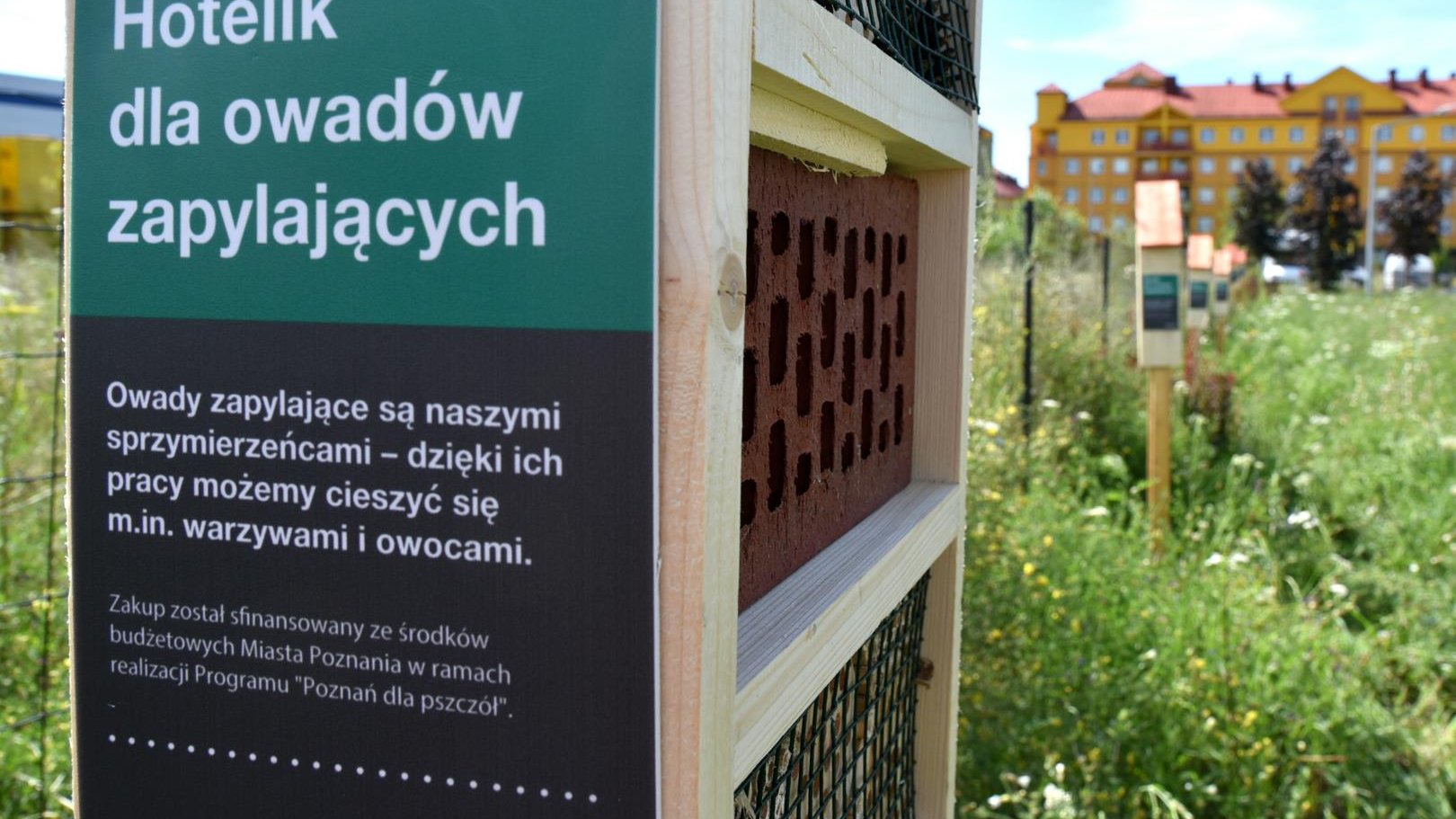 Dom dla owadów - na pierwszym planie jego boczna ściana, na niej - plakietka z napisem "Hotelik dla owadów zapylających". W tle inne domki