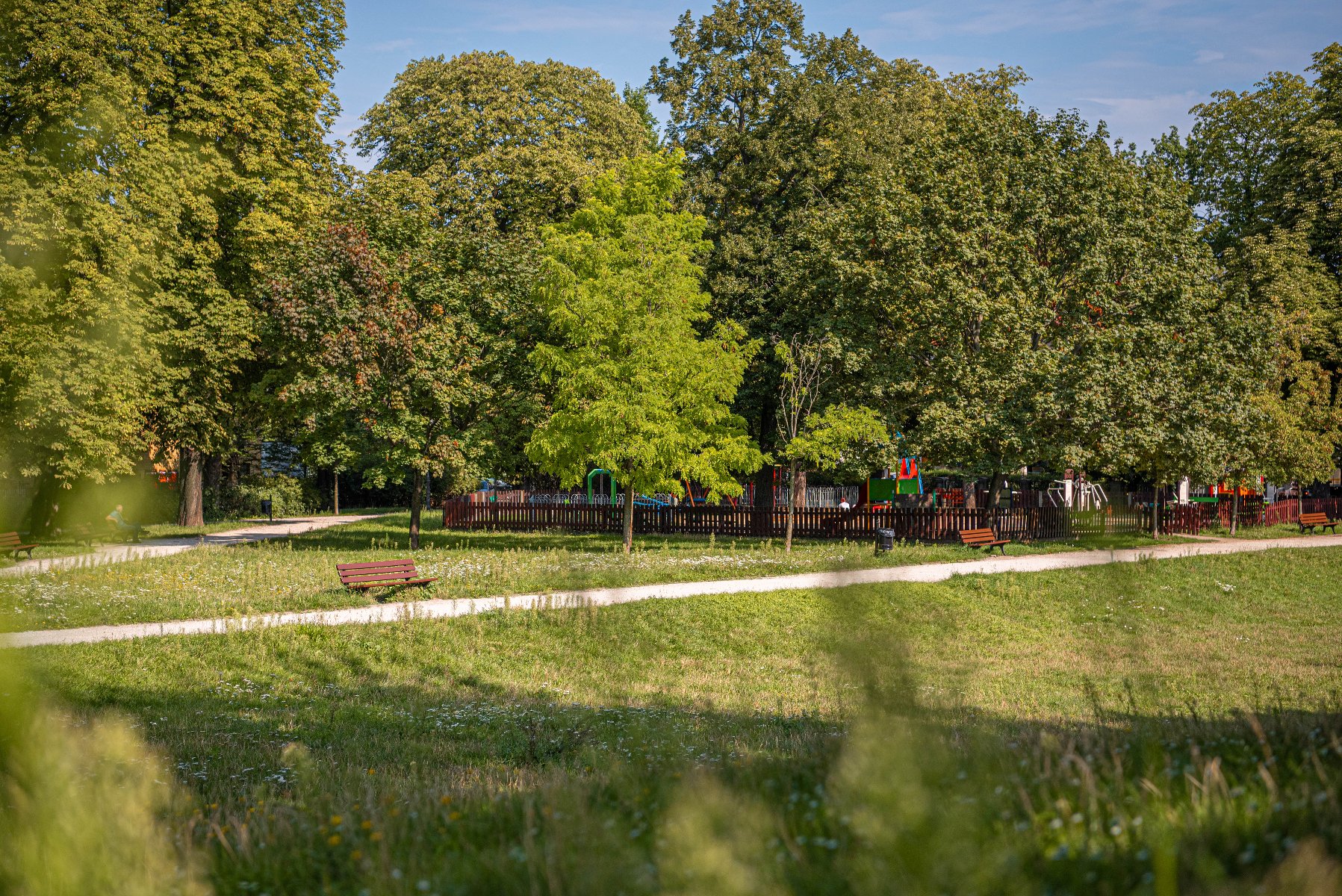 Zdjęcie1 - Park Wieniawskiego