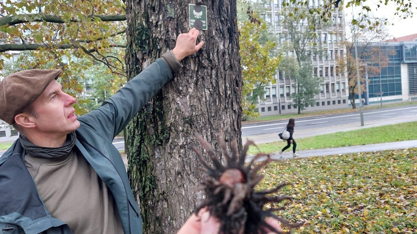 Przewodnik pokazujący tabliczkę "Pomnik przyrody" przymocowaną do drzewa