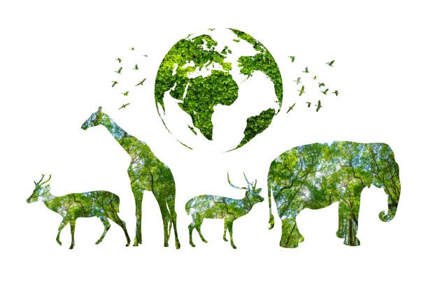 Wizerunek Ziemii, ptaków, gazeli, żyrafy i słonia stworzone z liści i gałęzi drzew - grafika artykułu