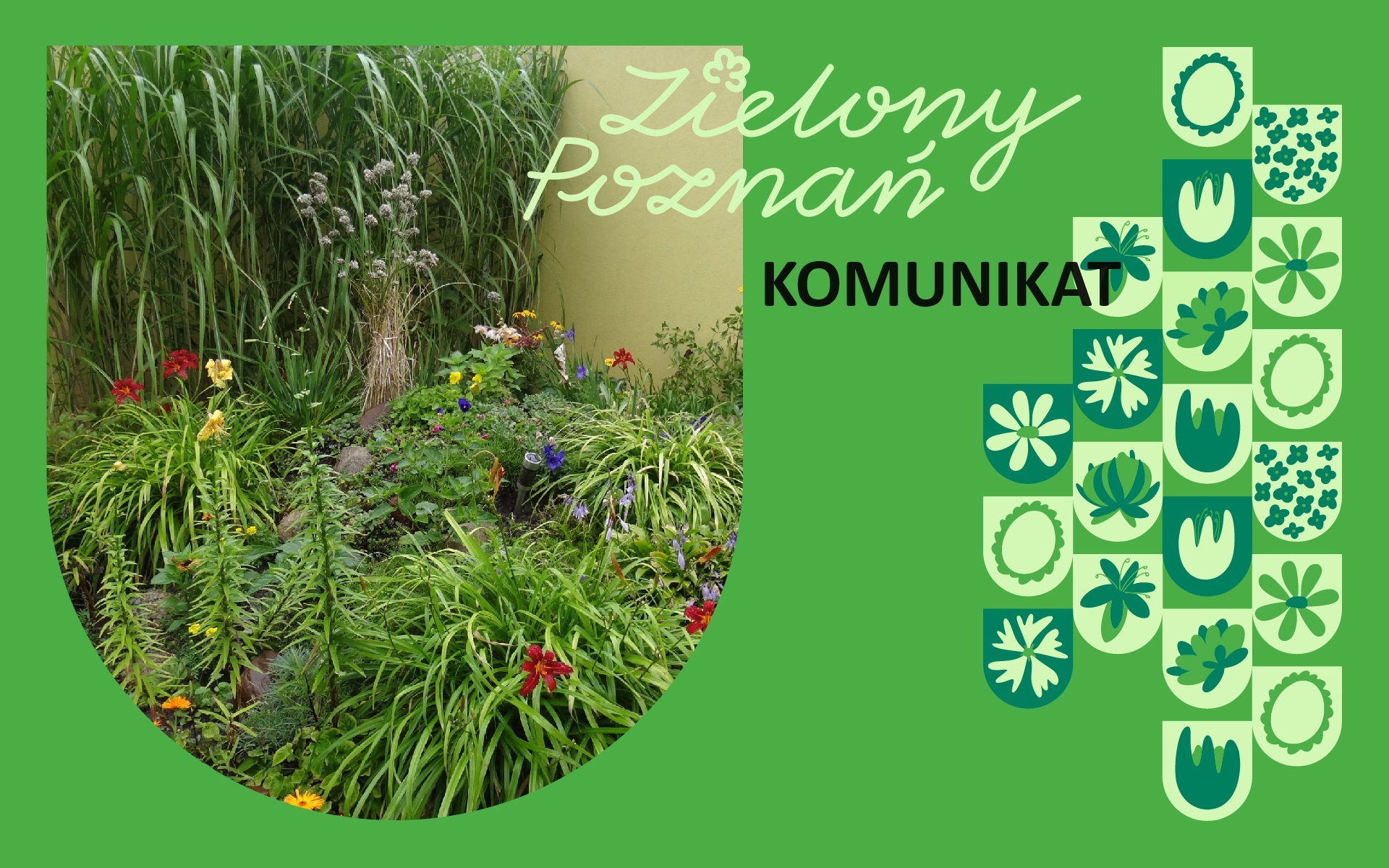 Grafika z napisem Zielony Poznań komunikat, po lewej stronie zdjęcie przedstawiające roślinność, w tym kwiaty, po prawej grafiki różnych rodzajów kwiatów - grafika artykułu