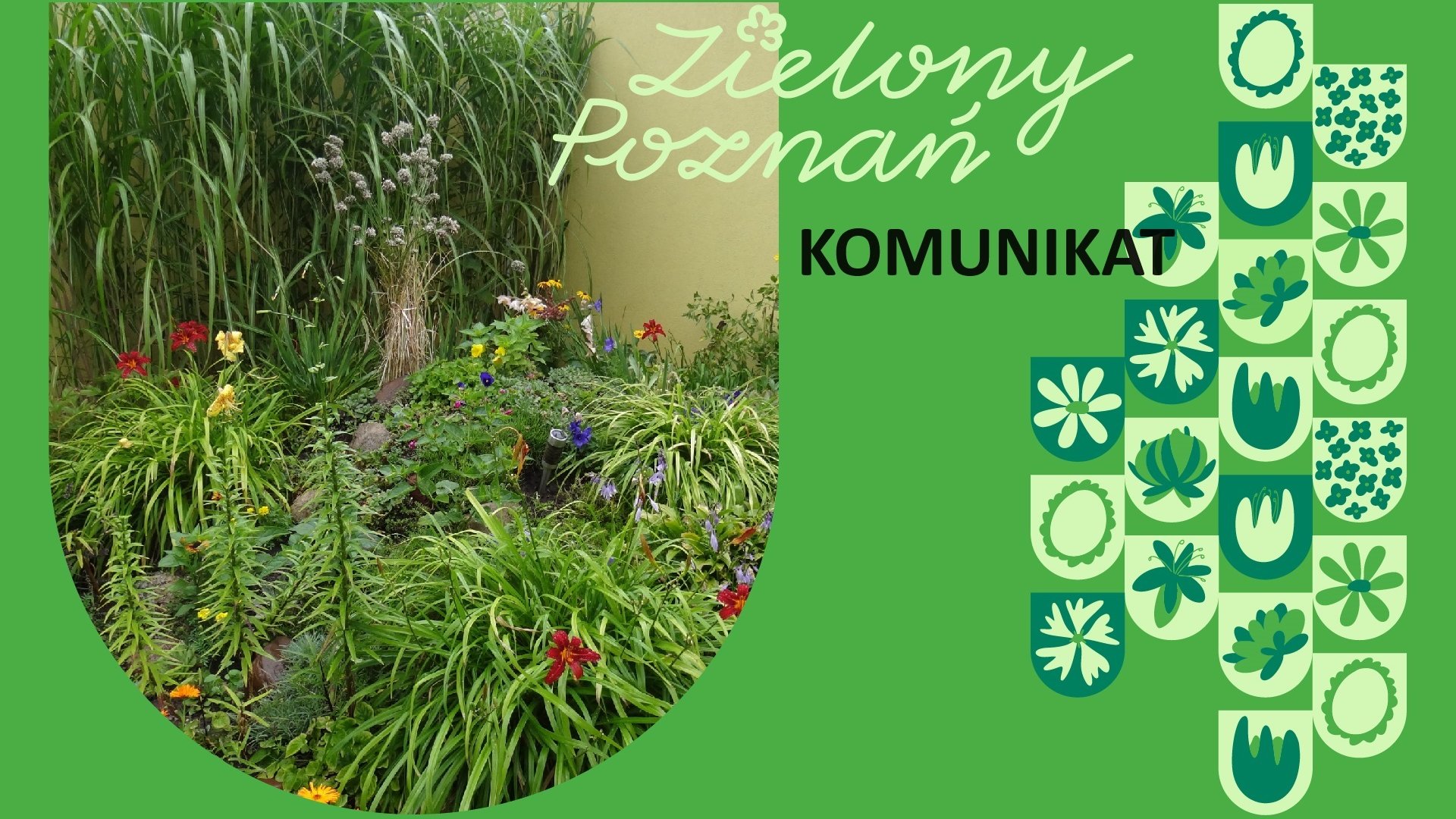 Grafika z napisem Zielony Poznań komunikat, po lewej stronie zdjęcie przedstawiające roślinność, w tym kwiaty, po prawej grafiki różnych rodzajów kwiatów