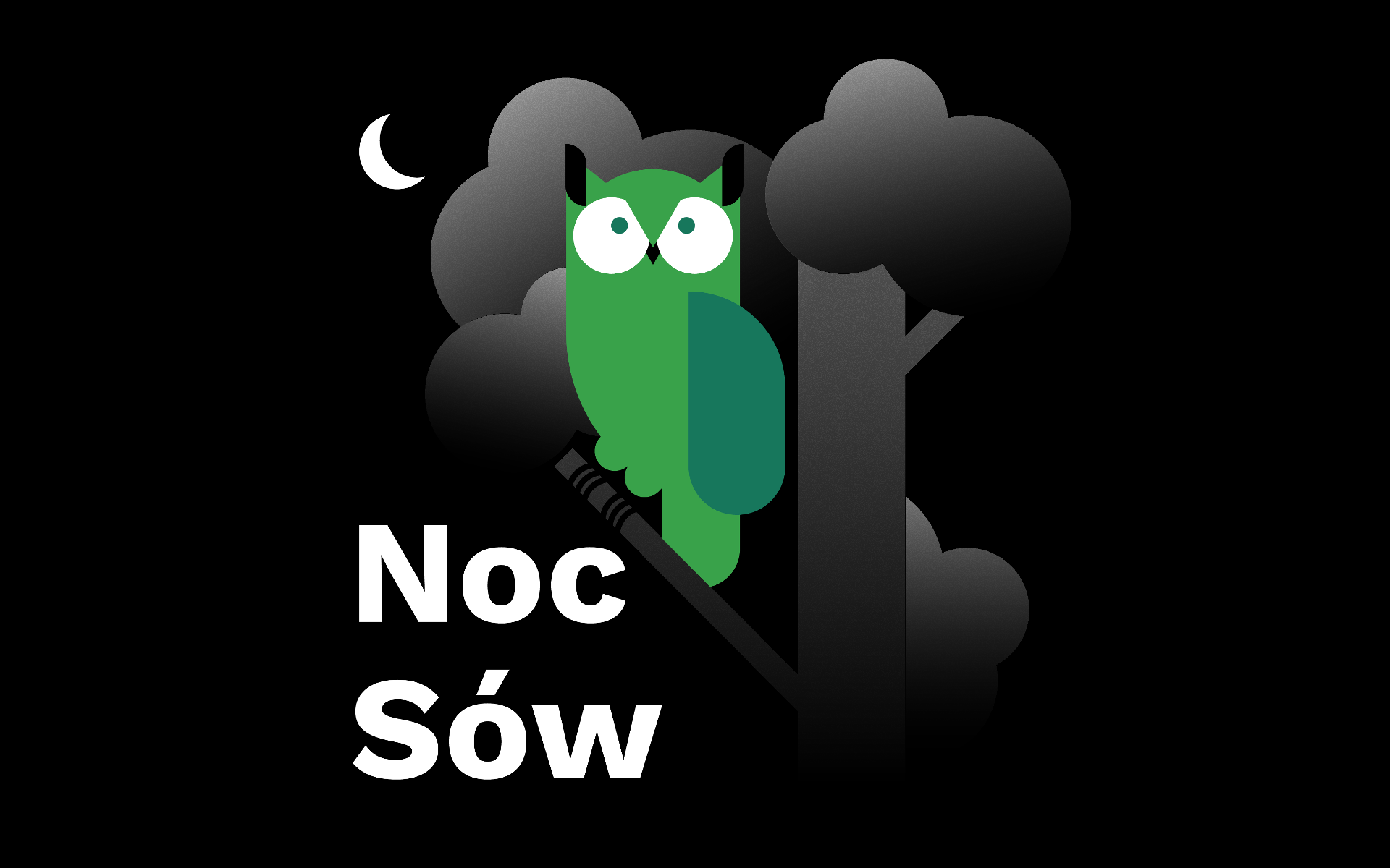 Noc sów - grafika artykułu