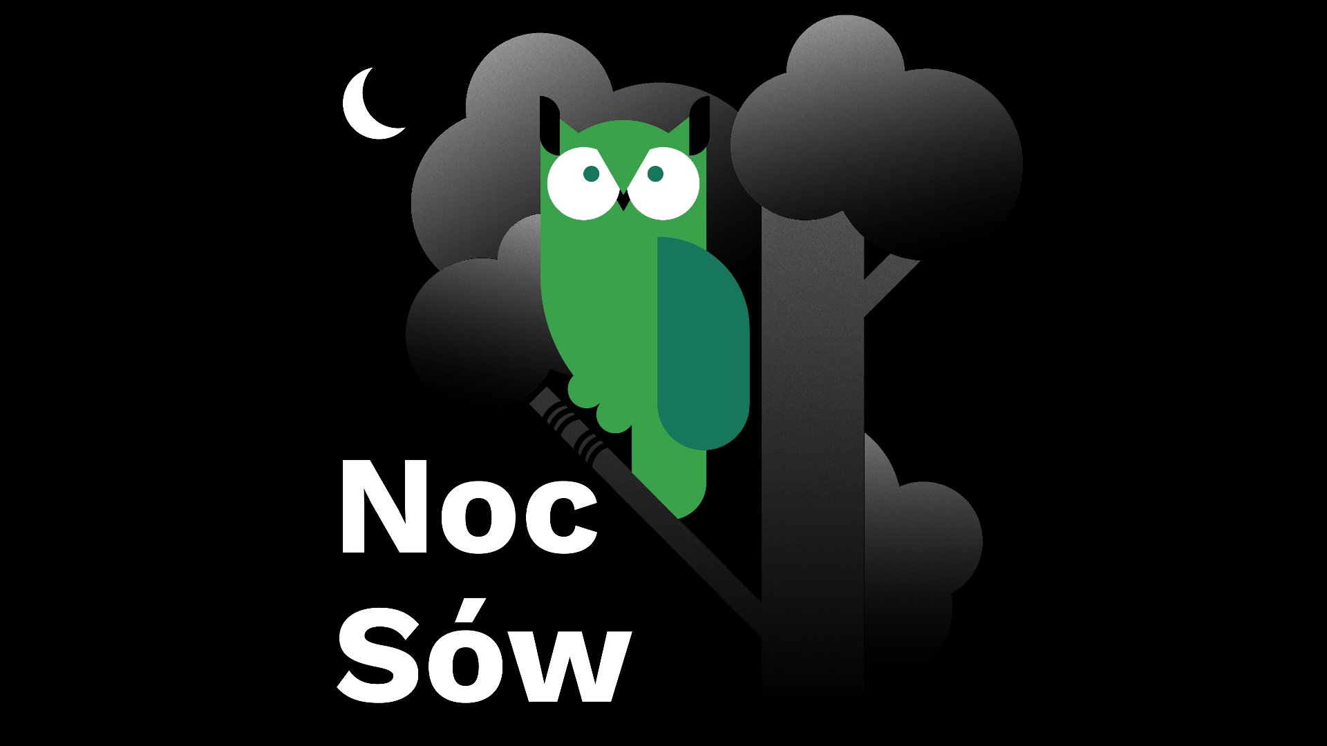 Noc sów