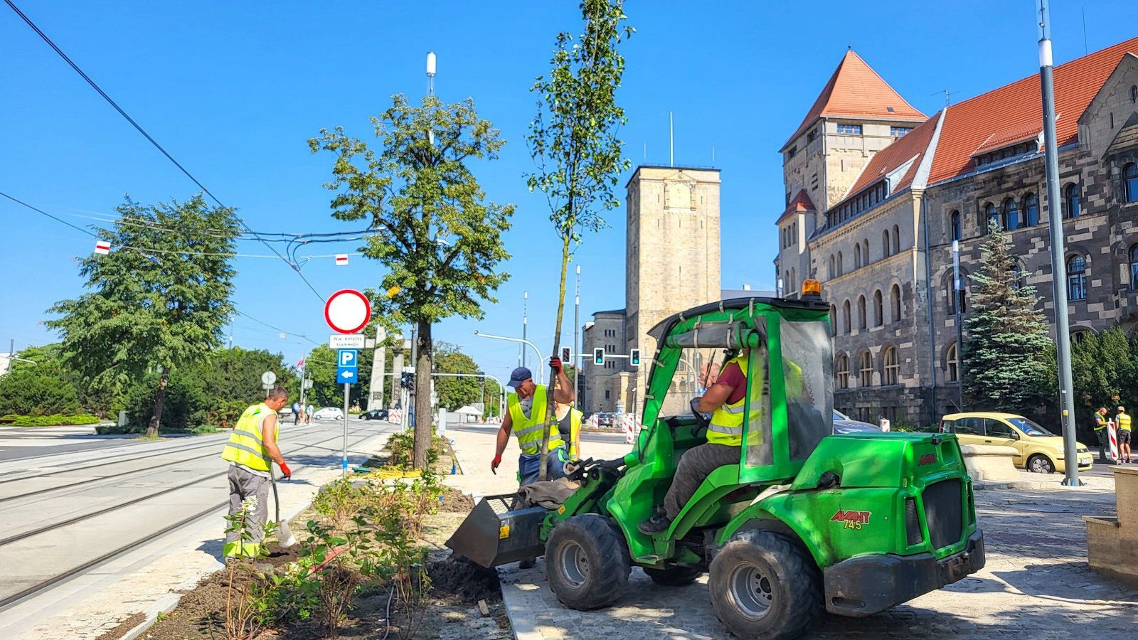 Galeria zdjęć z nowych nasadzeń w rejonie ul. Św. Marcin, Towarowej i al. Niepodległości