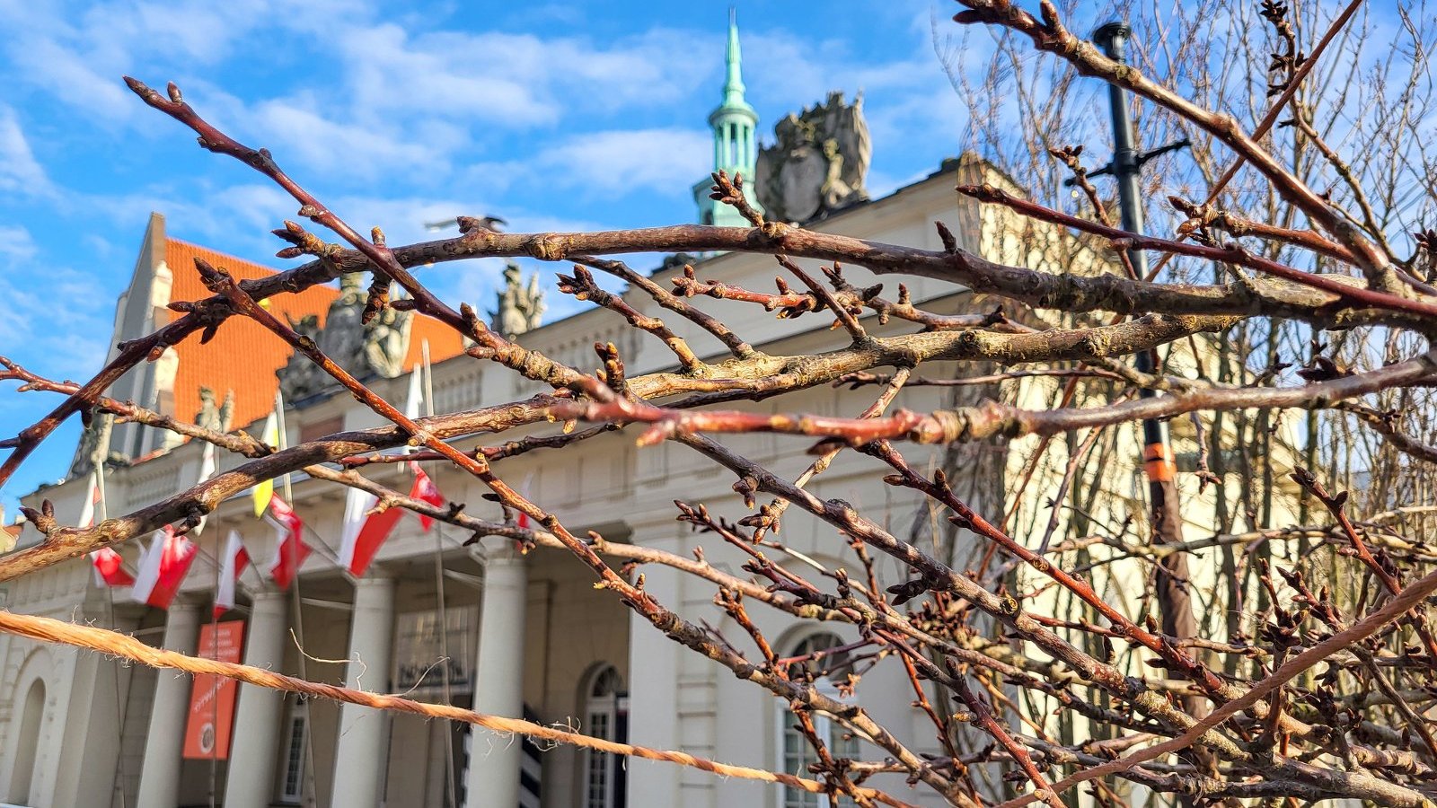 Na zdjęciu budynek muzeum, na pierwszym planie gałęzie drzewa