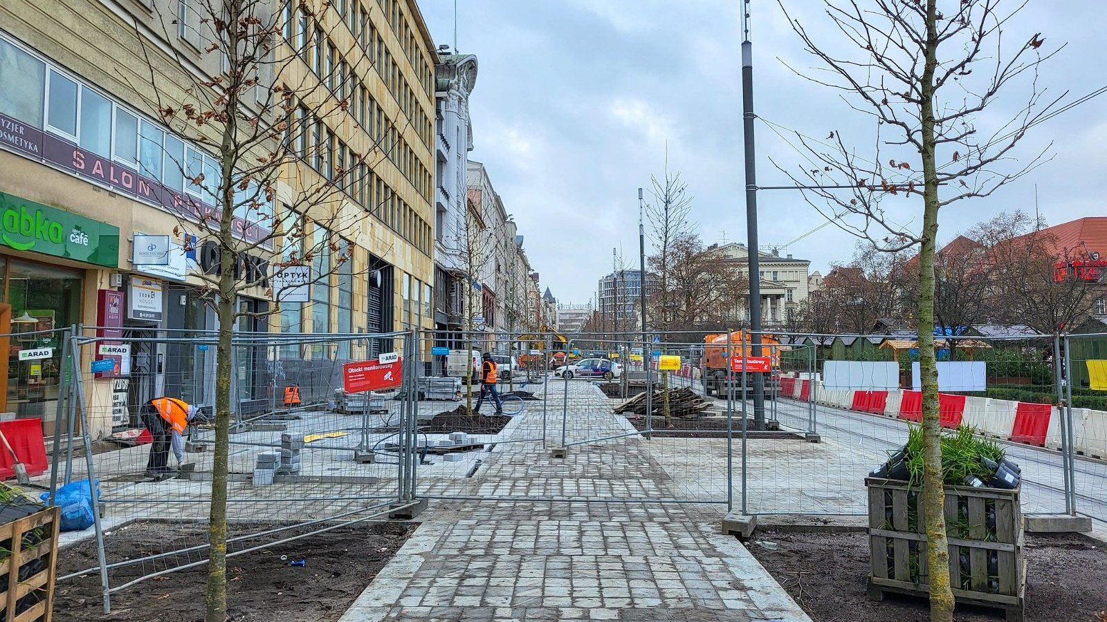 Galeria zdjęć nowo posadzonych roślin przy placu Wolności