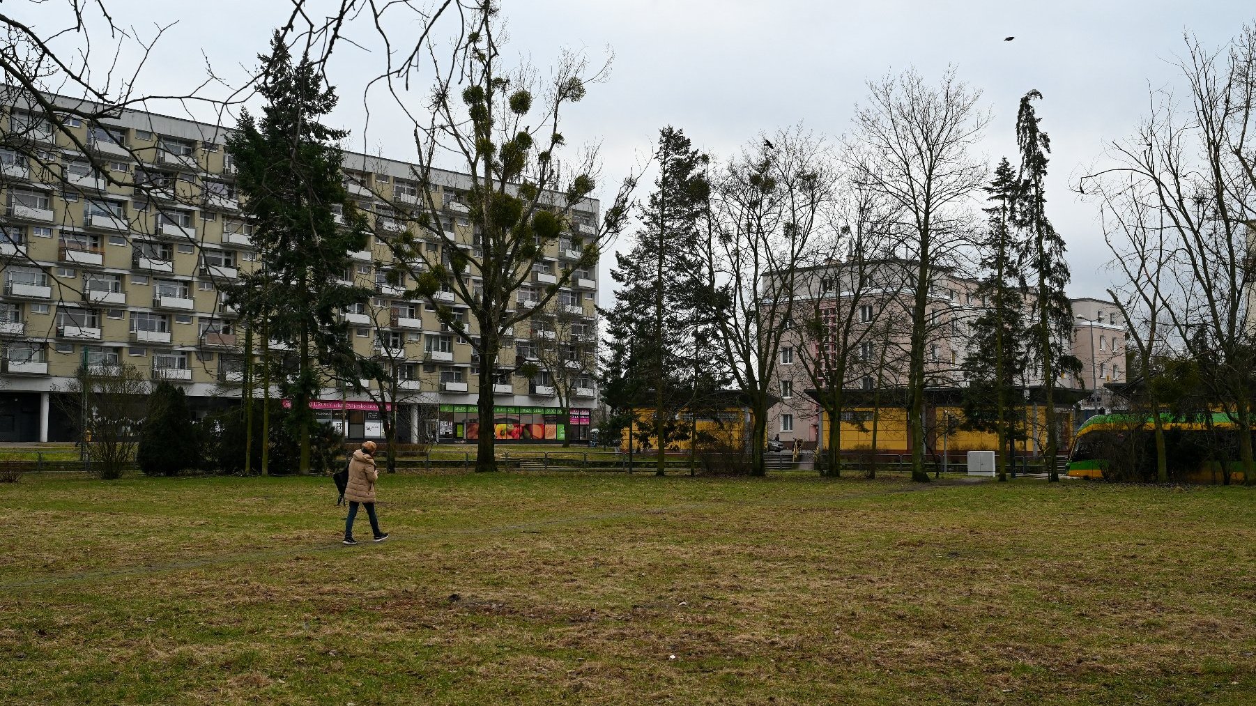 Na zdjęciu pętla Ogrody, na pierwszym planie duży trawnik