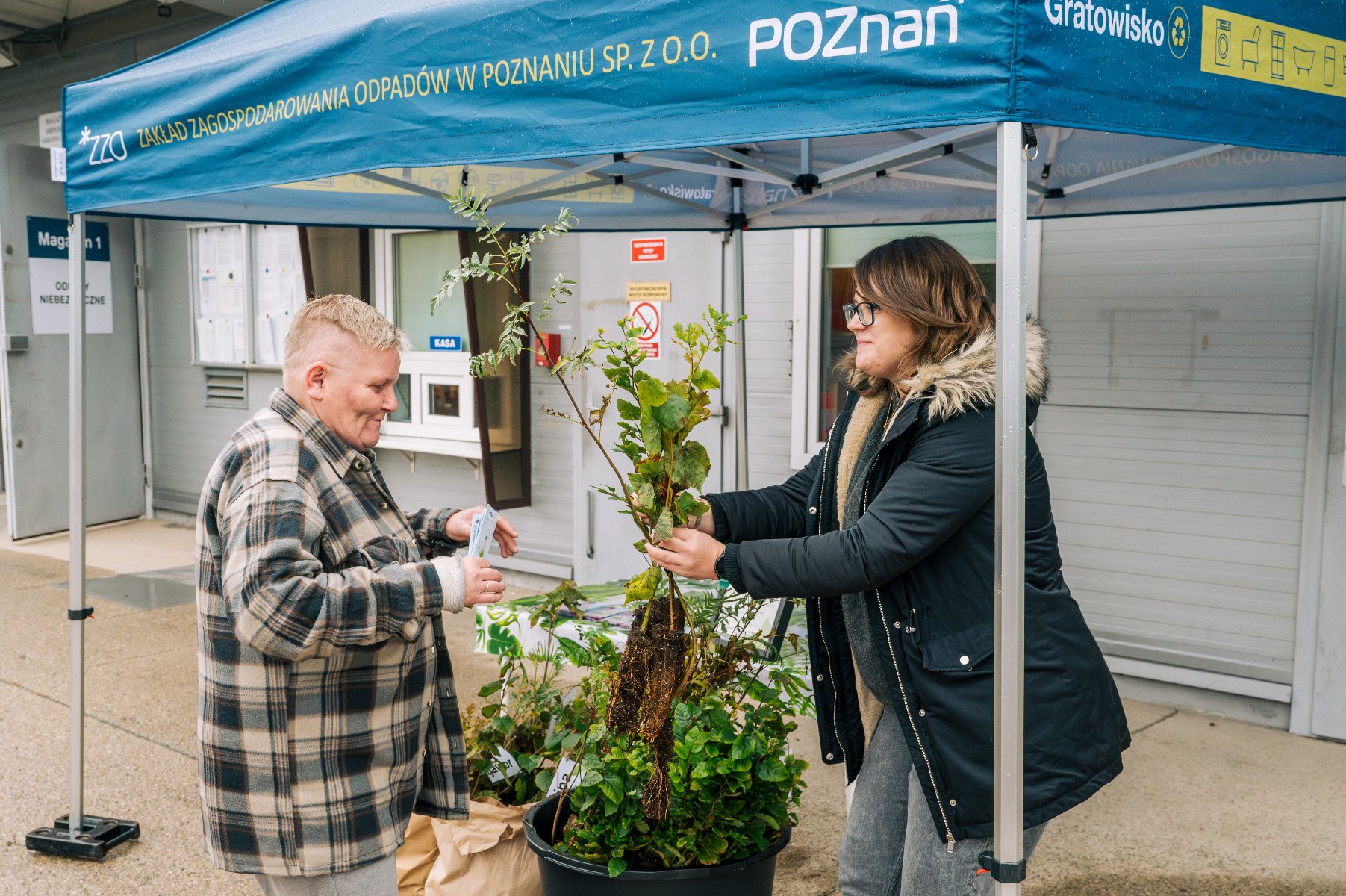 Na zdjęciu kobieta wręczająca sadzonkę osobie, która przyniosła odpady na Gratowisko - grafika artykułu