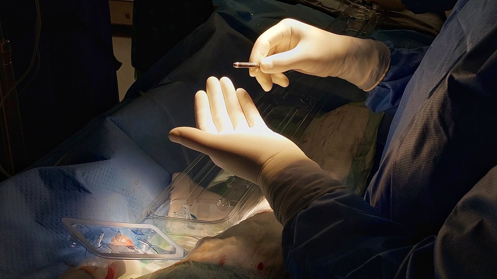 Na zdjęciu dłonie lekarza trzymającego rozrusznik
