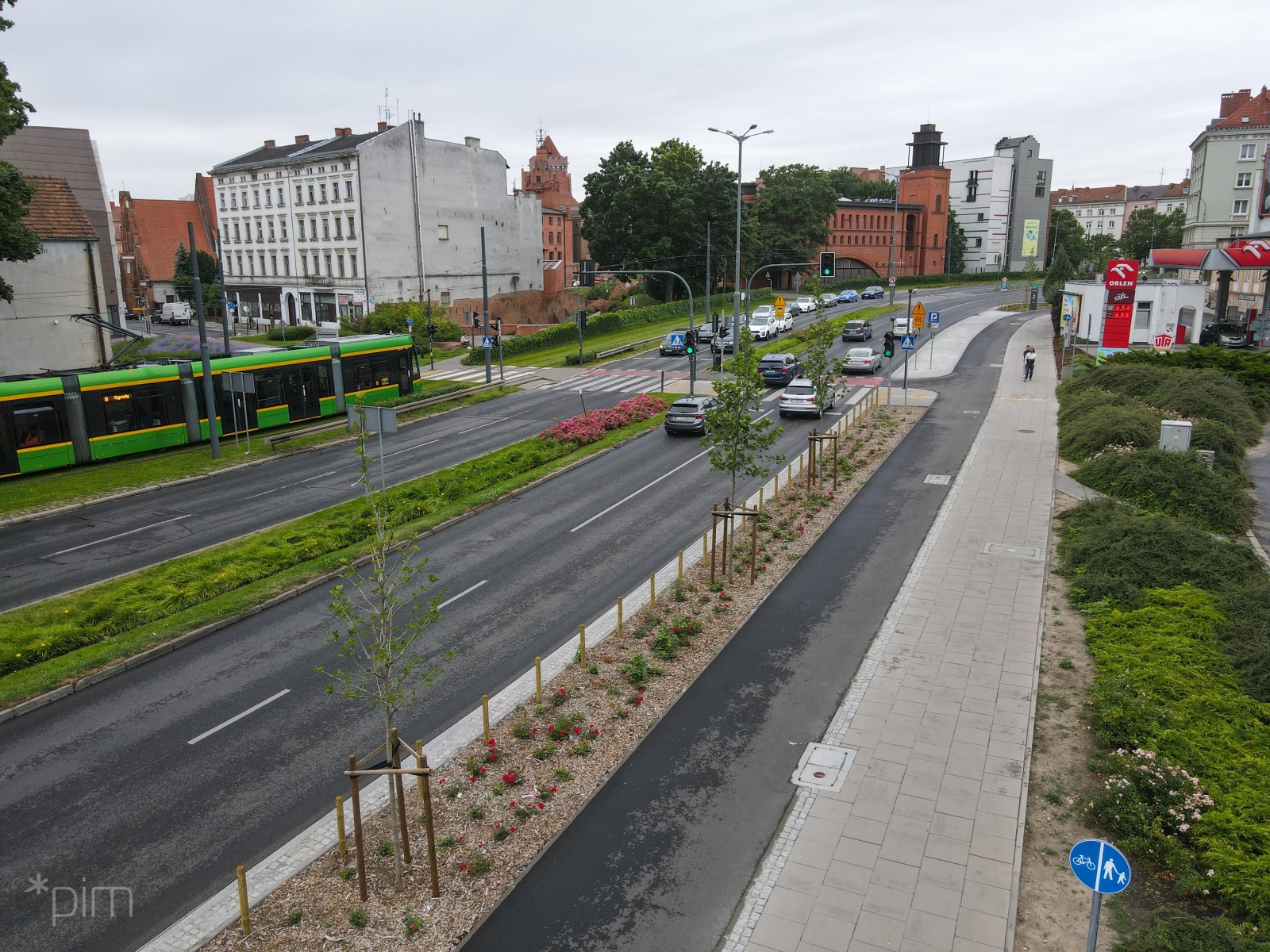 Galeria zdjęć przedstawia zieleń przy nowej drodze rowerowej na Starym Mieście. - grafika artykułu