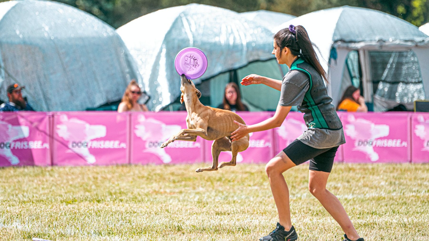 Zdjęcie przedstawia psa skaczącego do frisbee i jego właścicielkę.