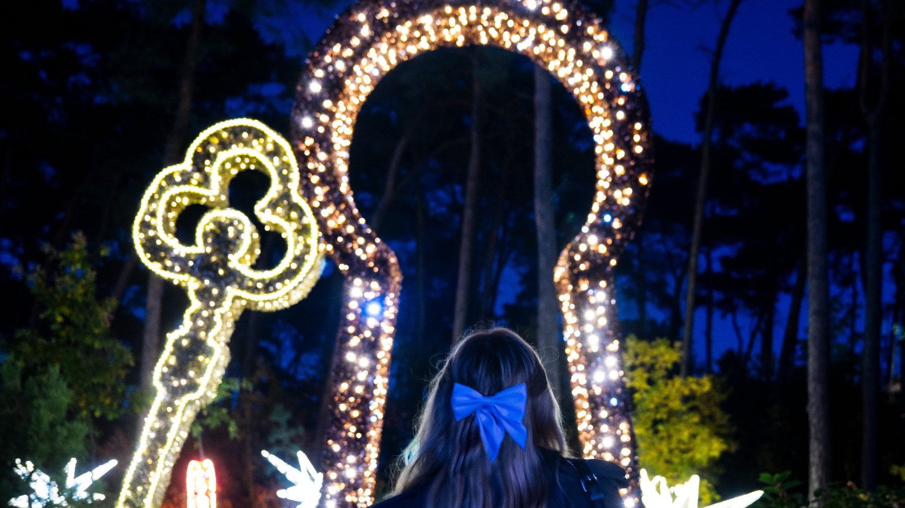 Galeria zdjęć przedstawia iluminacje świetlne i oglądających je ludzi.