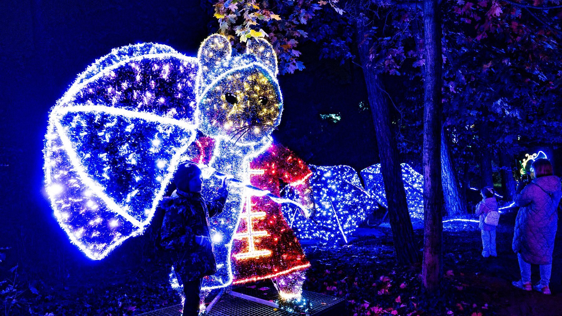 Galeria zdjęć przedstawia iluminacje świetlne i oglądających je ludzi.