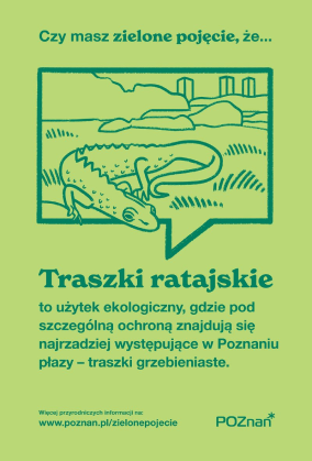 t - grafika artykułu