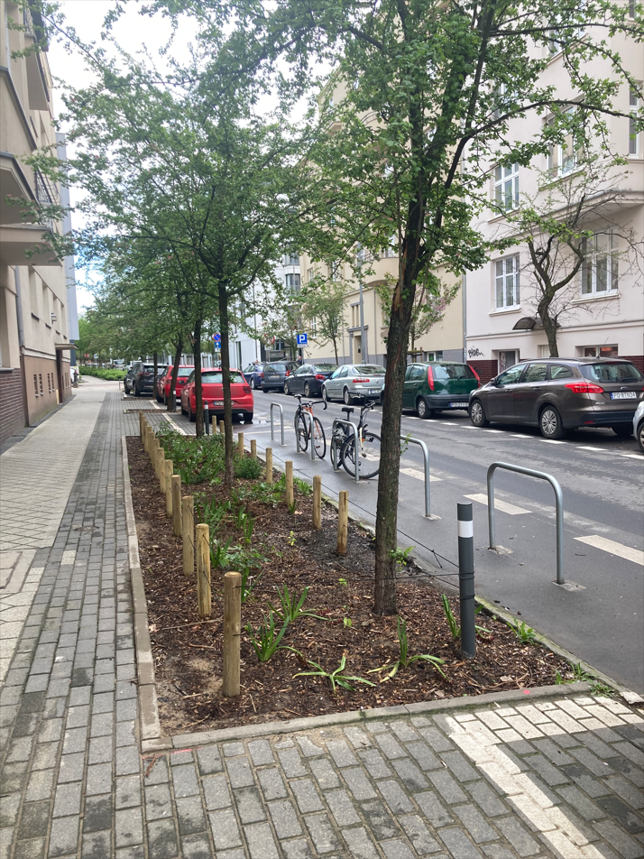 Odbruki w okresie wiosennym (ul. Prusa). Fot. Wydział Klimatu i Środowiska UMP.