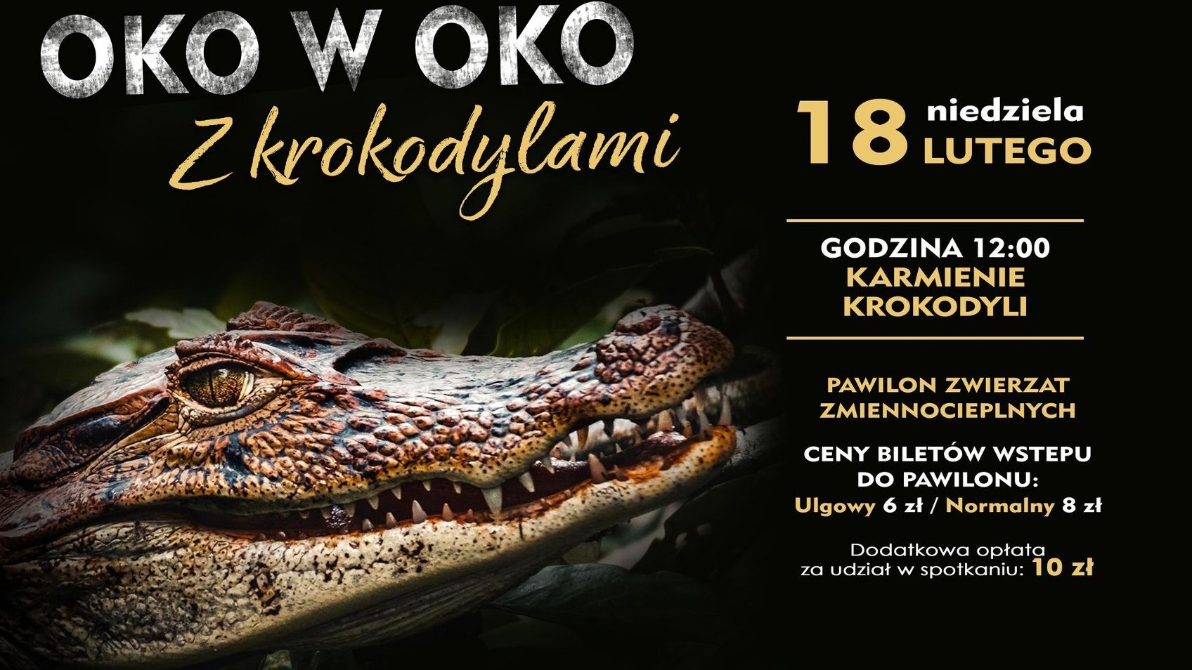 Napis: "Oko w oko z krokodylami". Poniżej zdjęcie krokodyla. Obok informacje o wydarzeniu. Szczegóły w artykule.